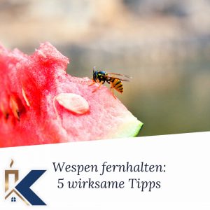 Wespen fernhalten
