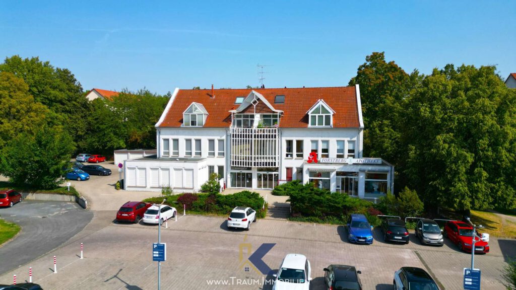DJI_0980a