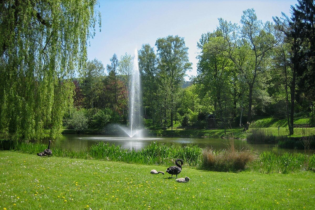 Immobilien - KOCH IMMOBILIEN